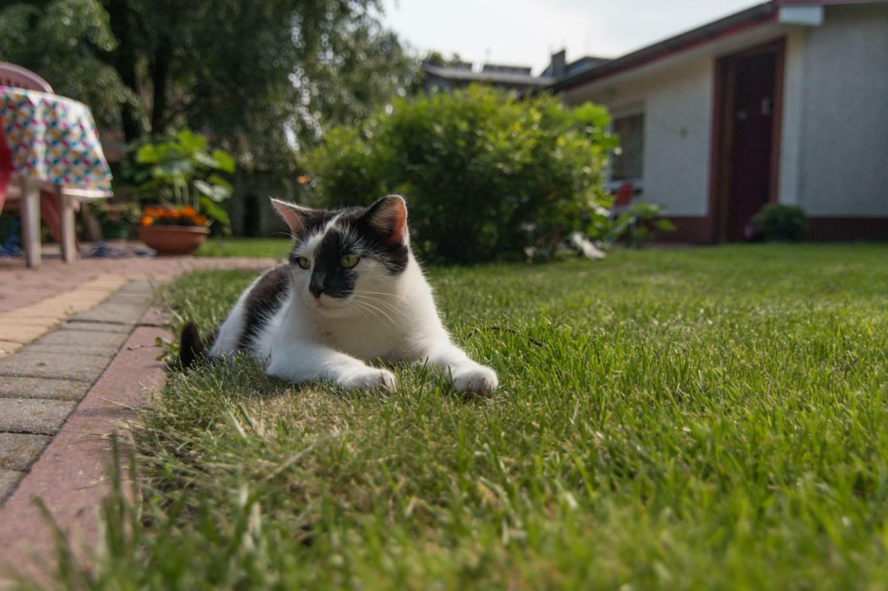 Willa Danuta Busko-Zdrój Zewnętrze zdjęcie